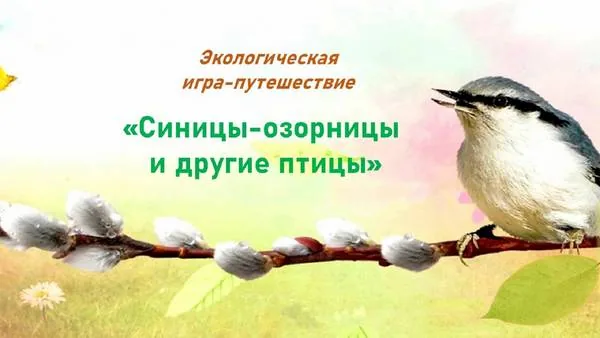 Экологическая игра-путешествие «Синицы-озорницы и другие птицы»