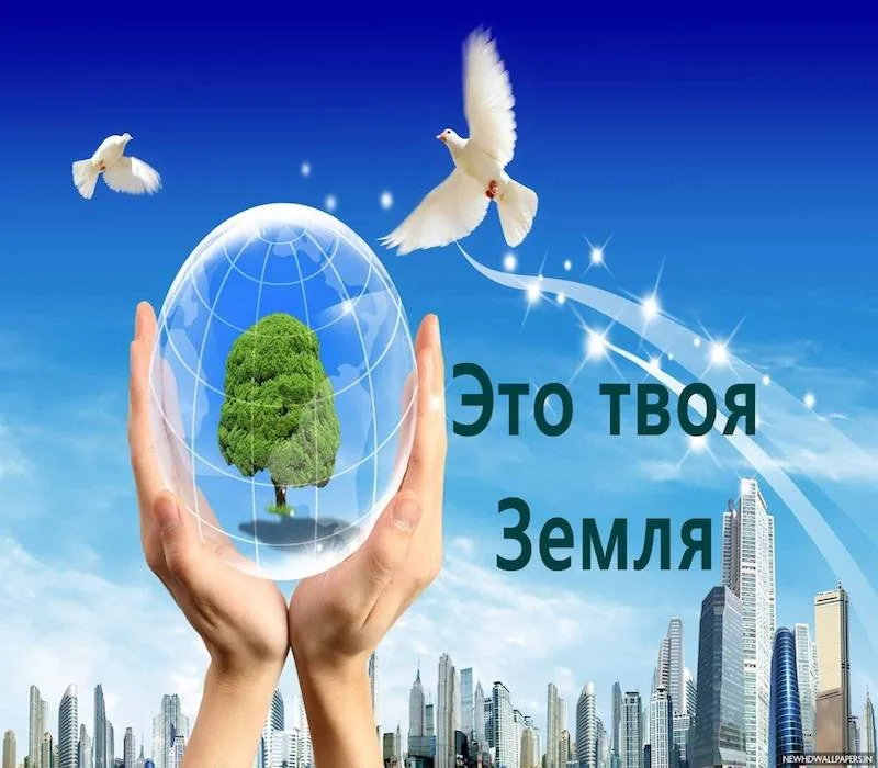 Экологическая презентация «Это твоя земля»