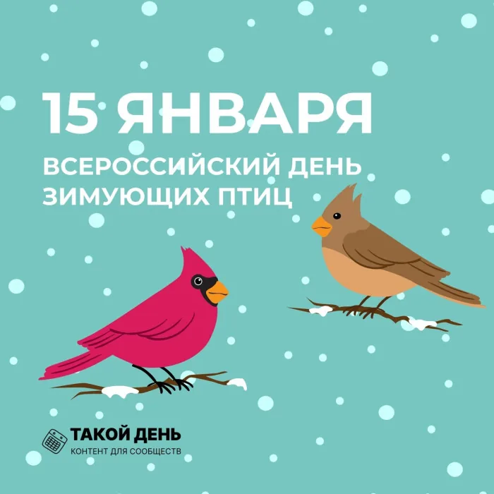 Знатоки зимующих птиц