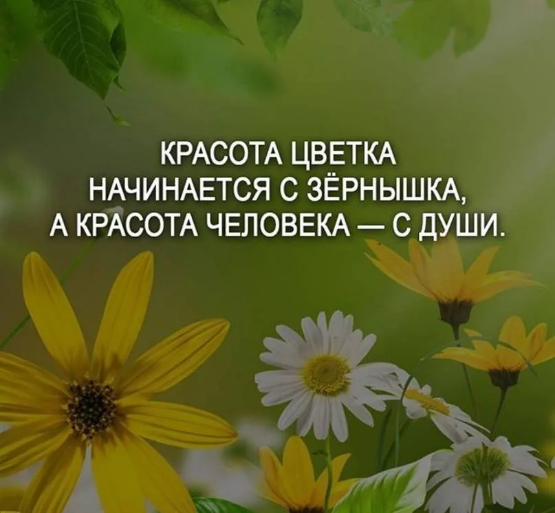 Час отдыха «Цветочный калейдоскоп»