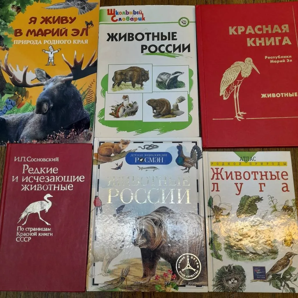 Литературно-экологический репортаж «Путешествие в мир заповедной природы»
