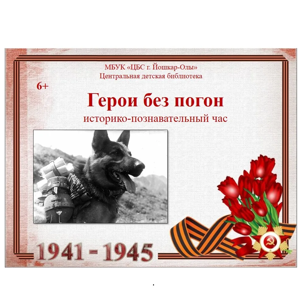 Герои без погон